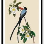 John James Audubon